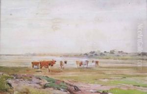 Cattle In An Estuary