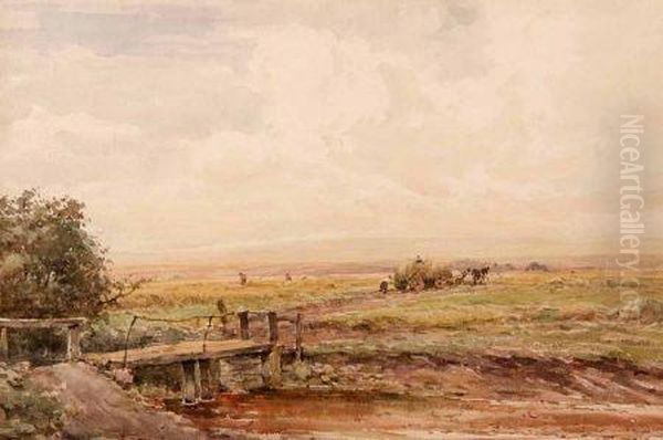 Haytime - view 1