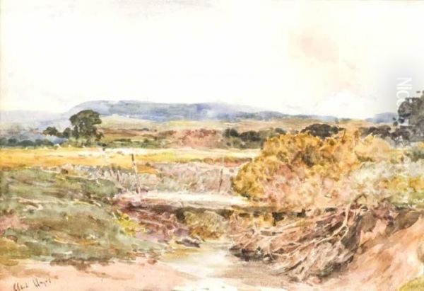 Footbridge Over The Stream - view 1