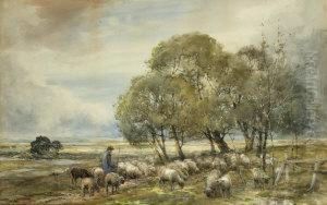 Sheep In A Landscape Sheep In A Landscape