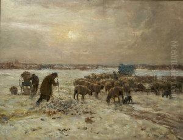 Farmers Cutting Turnip In Winter Landscape To Feed Sheep - view 1