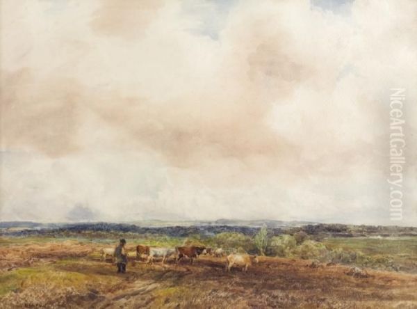 Cattle In Landscape - view 1