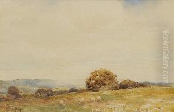 Landscape With Sheep - view 1