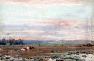 Extensive Landscape With Cattle Extensive Landscape With Cattle
