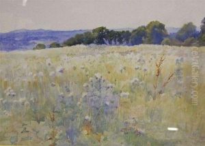 Near Godalming