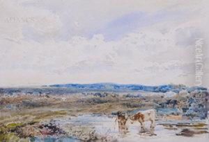 On The South Downs
