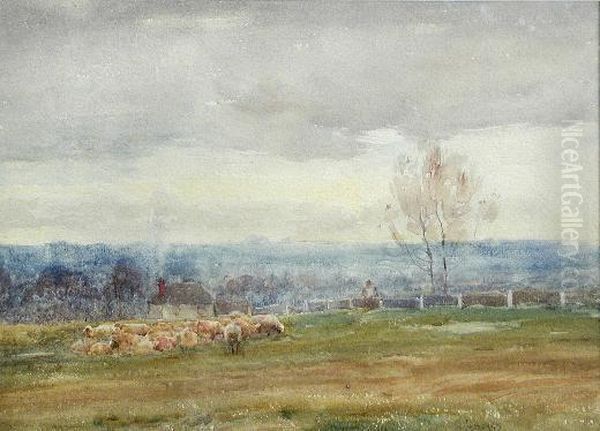 Sheep Grazing At A Downland Farm - view 1