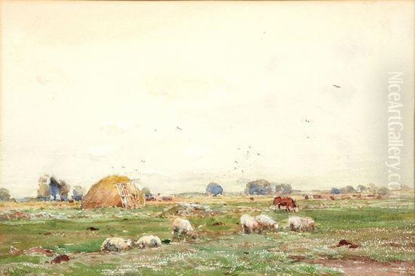 Sheep And Cattle In A Landscape - view 1