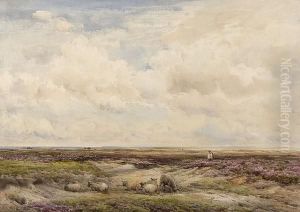 Sheep Grazing On A Moorland