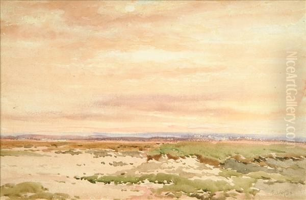 Extensive Open Landscape - view 1