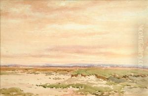 Extensive Open Landscape