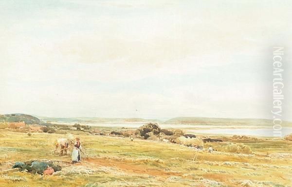 Haymaking - view 1