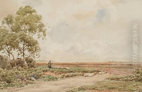 Near Lyndhurst, Hants - view 1