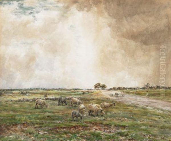 Sheep Grazing In An Extensive Landscape - view 1