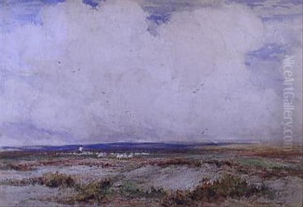 Breezy Weather, Nr.lyndhurst - view 1