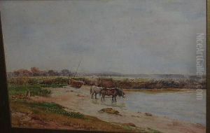 Near Poole, Dorset Near Poole, Dorset