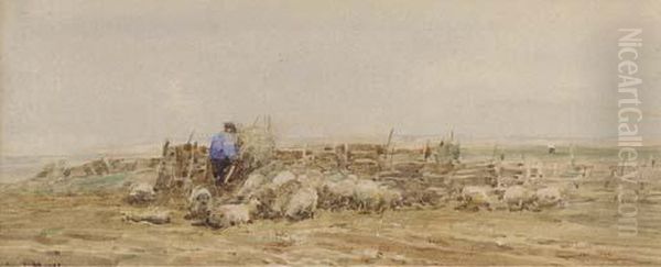 A Norfolk Sheep Fold - view 1
