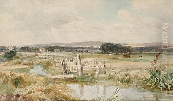 Broadwater, Near Hastings - view 1
