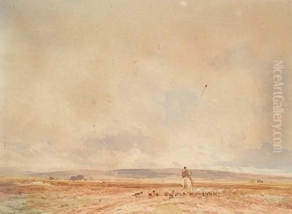 Horse And Rider In A Rural Landscape - view 1