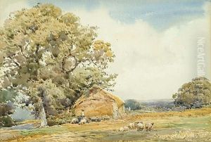 Sheep In A Rural Landscape Sheep In A Rural Landscape