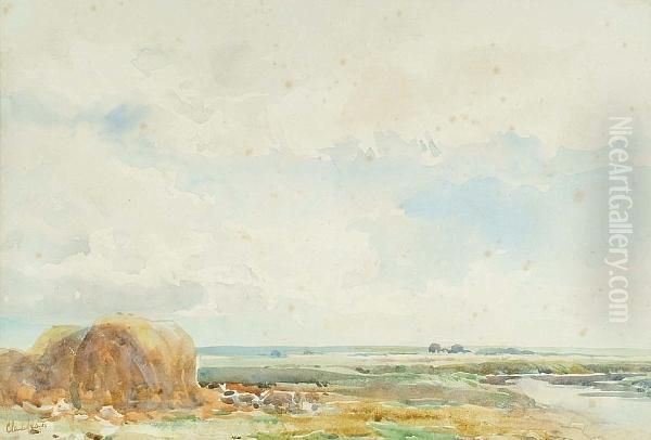 Haystacks In A Rural Landscape - view 1