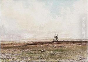 On The Coast Near Dunwich, Suffolk