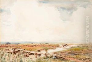 On The Marshes At Danbury In Essex