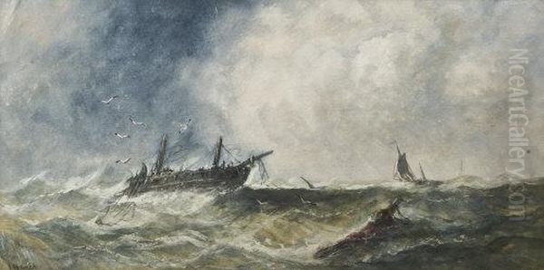 A Shipwreck - view 1