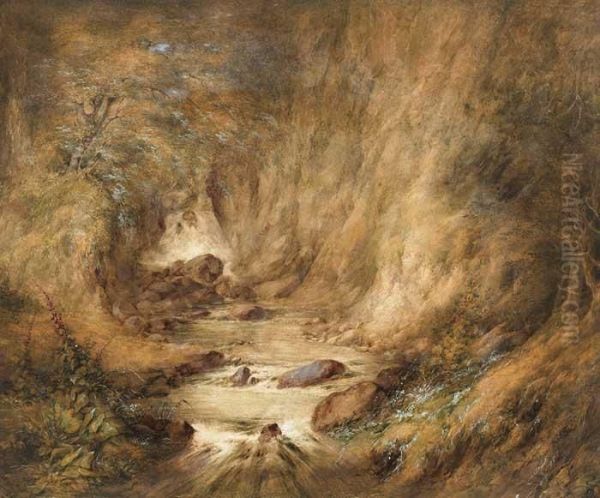 Forest Glade With Waterfall - view 1