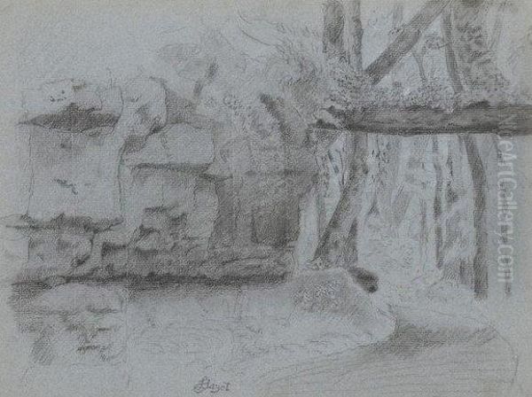 Sous Bois - view 1