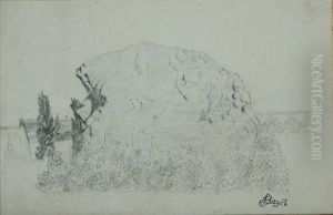Rocher De Granit Dans Un Champs