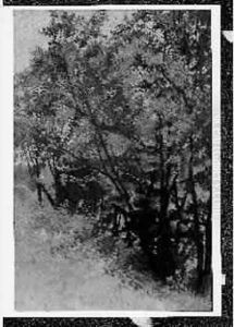 Les Arbres, 1898 by Louis Hayet