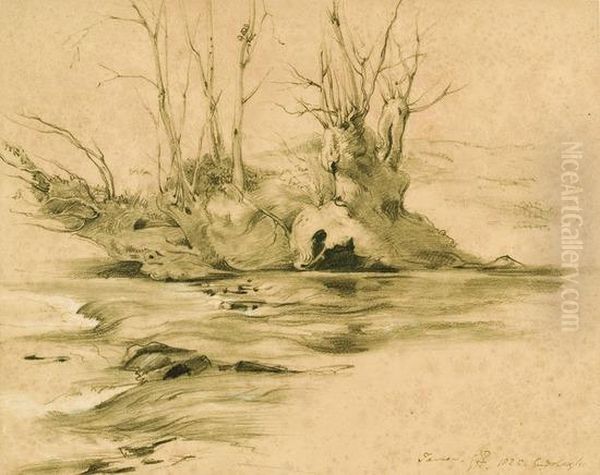 The Bank Of A Stream - view 1