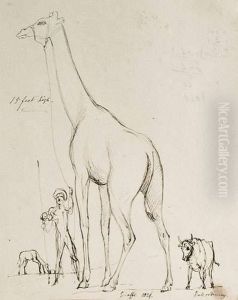 La Girafe De La Menagerie Du Jardin Des Plantes by Sir George Hayter