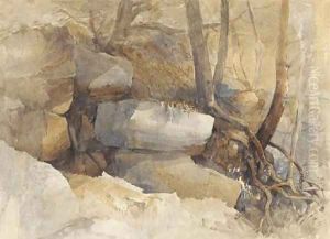 High rocks, Tonbridge by John Middleton