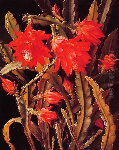 Cactus with Scarlet Blossoms - view 1