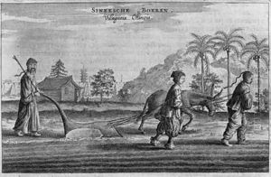 Chinese Peasants a General Description from an account of a Dutch Embassy to China 1665 by Jacob van Meurs