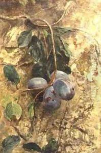 Plums by David Murray