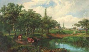 Cattle watering in Epping Forest Cattle watering in Epping Forest
