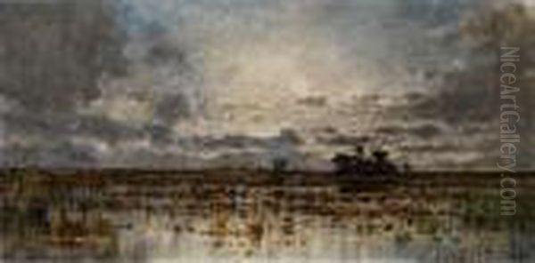 Dachauer Moor - view 1