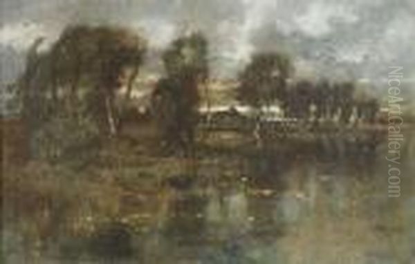Birch Trees At A Lake At Sunset Light. Oil/canvas, Signed - view 1