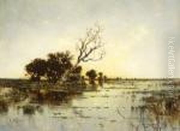 Moorlandschaft - view 1