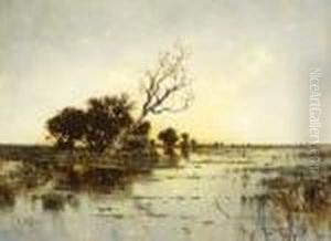 Moorlandschaft Moorlandschaft
