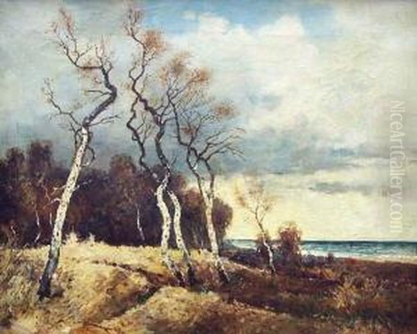Partie An Der Ostsee - view 1