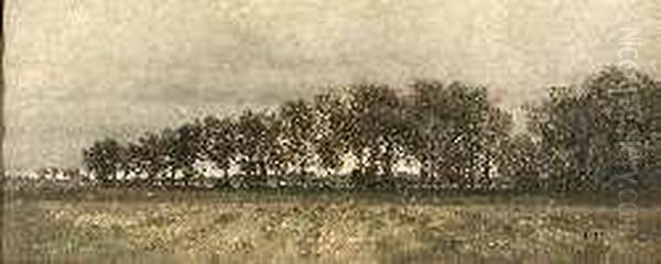 On The Edge Of Woodland - view 1