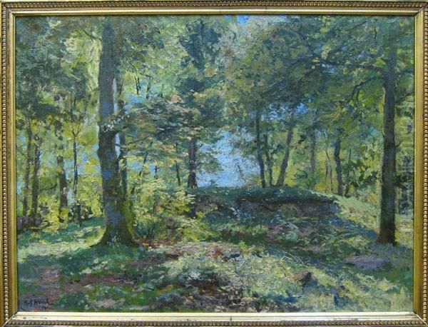 Eclaircie Dans La Foret A Sainte-ode - view 1