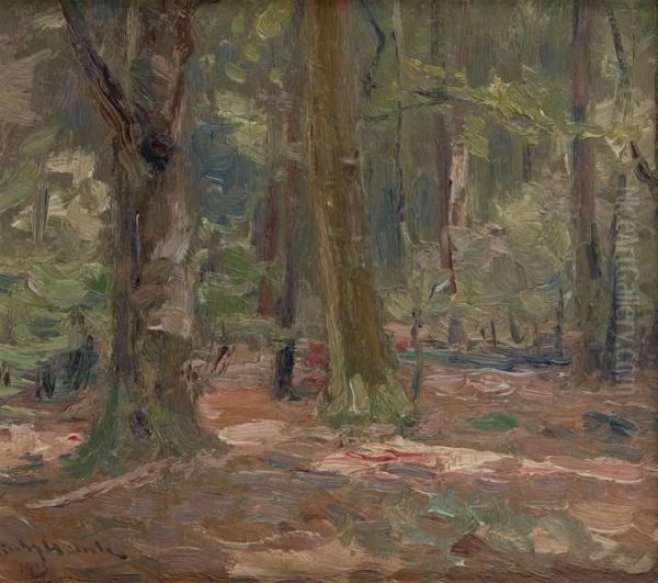 Sous-bois - view 1