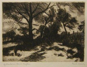 Giboulee Au Bois D'angleur.