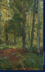 Bois De Nassogne Bois De Nassogne