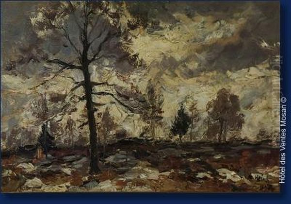 Paysage De Fagnes - view 1
